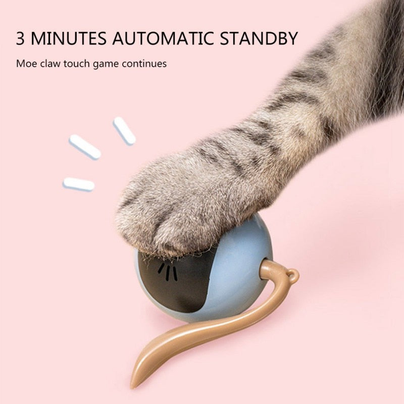 Self Rotating Cat Toy