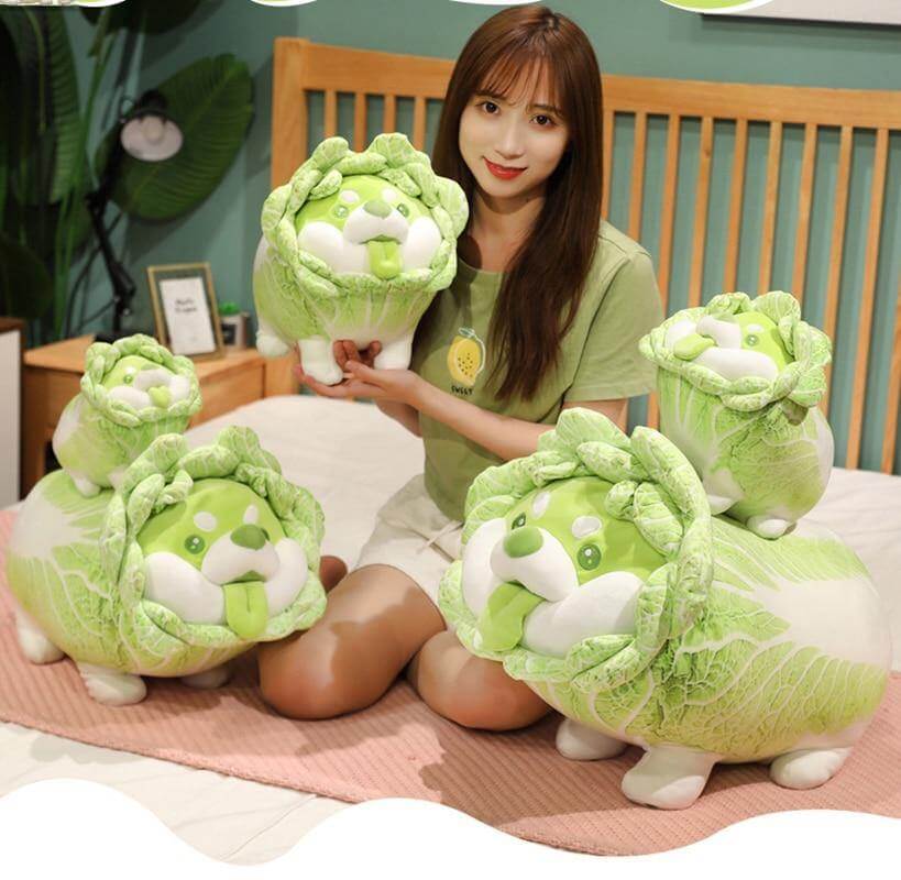 Cute Vegetable Cabbage Stuffed Dog  Pillow - Image 0