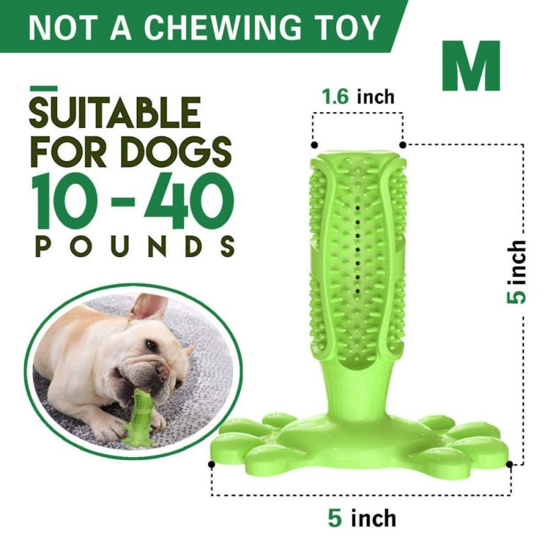 Pet Tooth Cleaner Natural Rubber Chew Toy