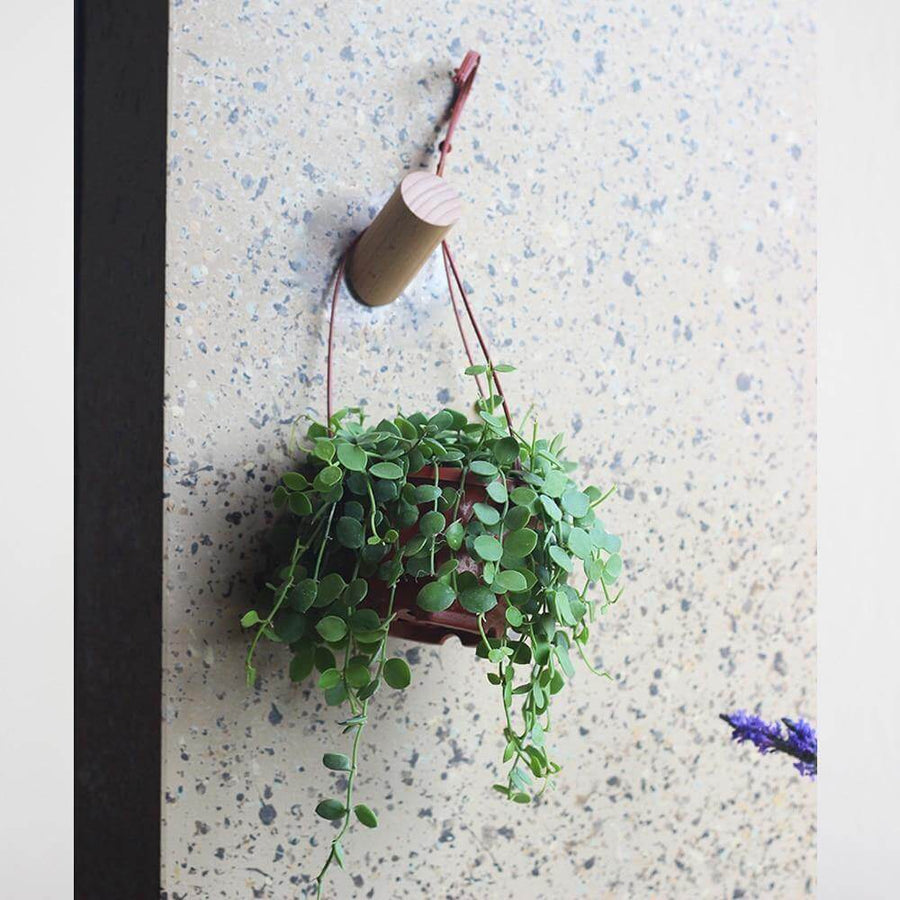 Nordic Wooden Easy Wall-Mounted Clothes Hanger - Image 14