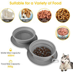 Foldable Travel Pet Double Feeding Bowl