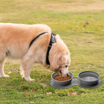 Foldable Travel Pet Double Feeding Bowl