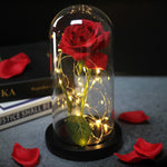 Eternal Artificial Rose Glass Dome