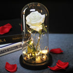 Eternal Artificial Rose Glass Dome