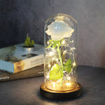 Eternal Artificial Rose Glass Dome