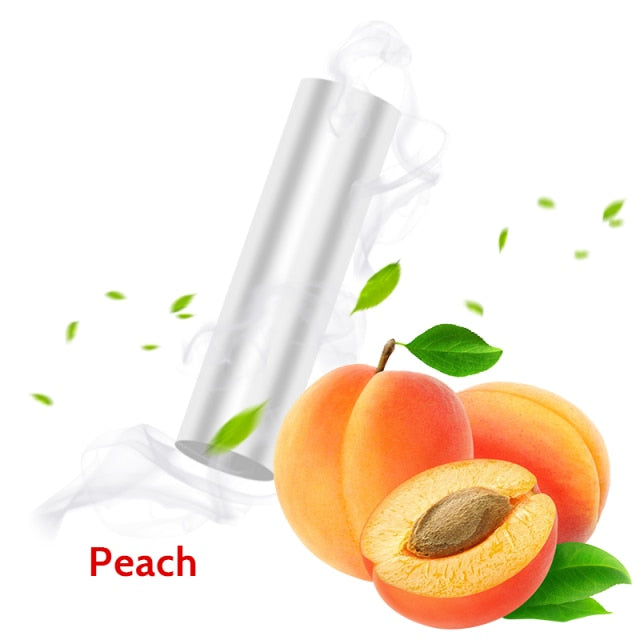 Luxury Vintage Retro Style Air Car Freshener - Image 23