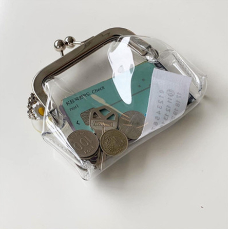 Transparent Minimalist Iron Mouth Purse - Image 0