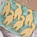 Cat Cookie Mold Cutter Set