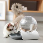 Bubble Automatic Pet Water Feeder