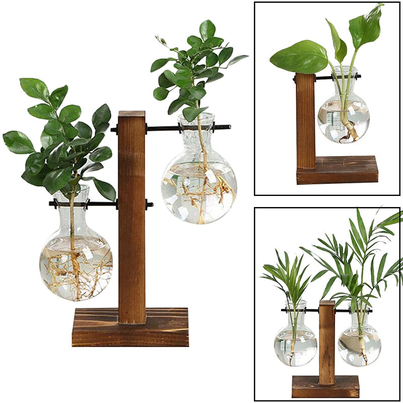 Terrarium Hydroponic Vintage Tabletop Vase - Image 2