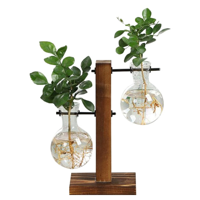 Terrarium Hydroponic Vintage Tabletop Vase - Image 6