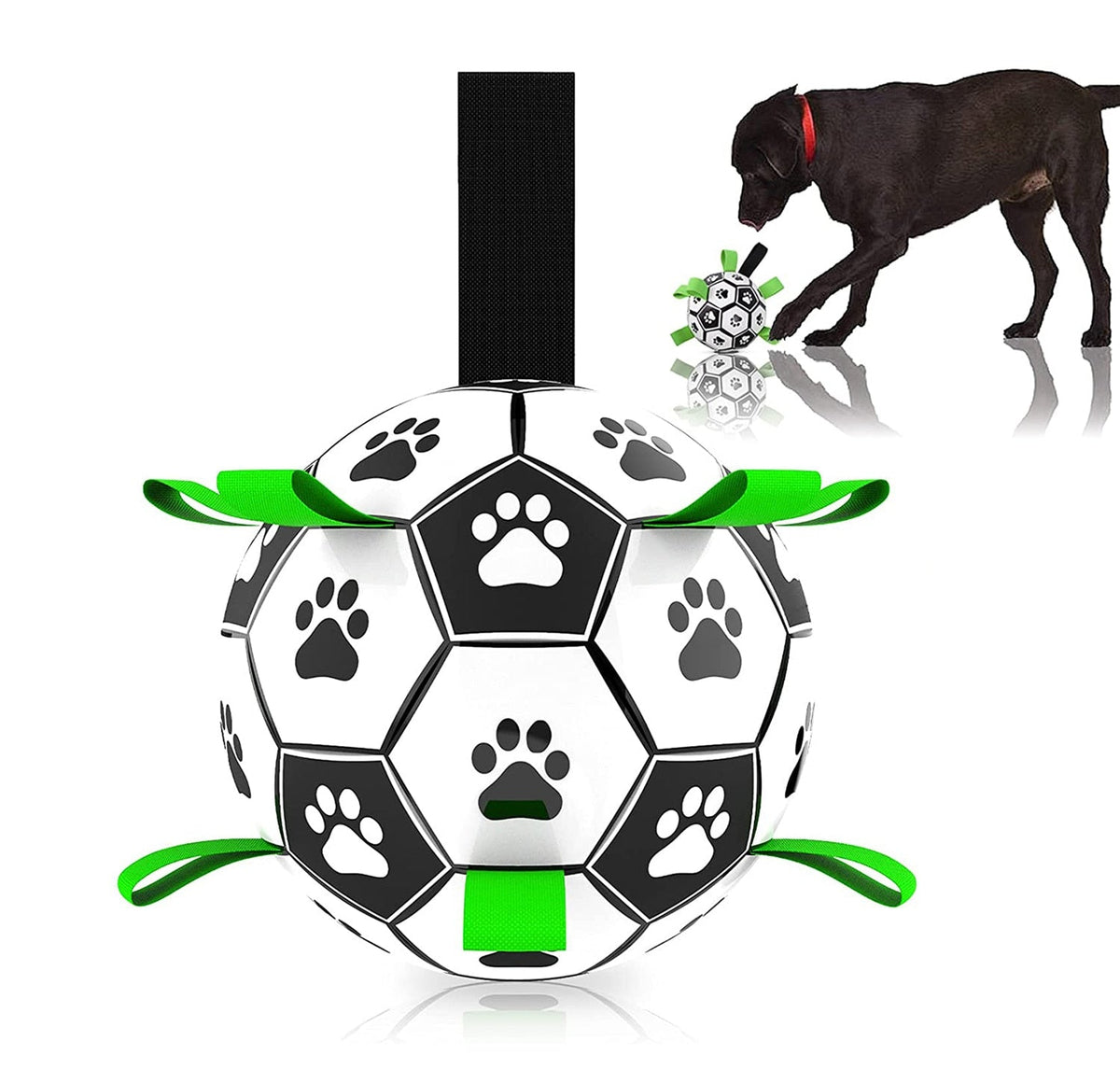 Interactive Pet Training Toy Ball