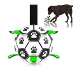 Interactive Pet Training Toy Ball