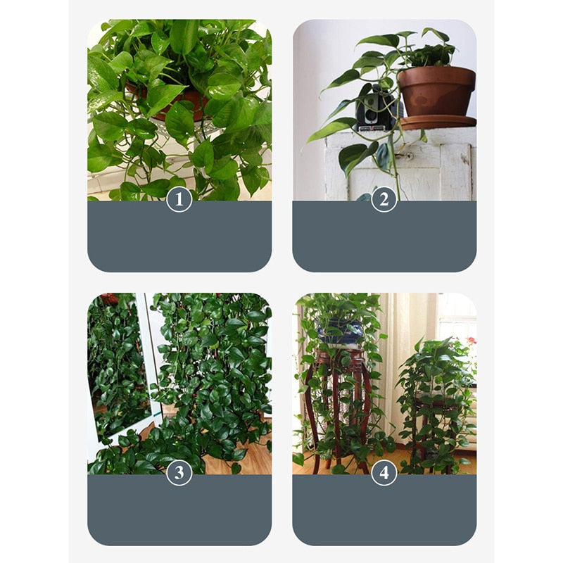 10pcs Leaf Shape Self-Adhesive Hook - Image 4