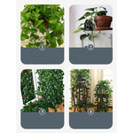 10pcs Leaf Shape Self-Adhesive Hook