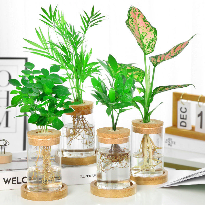 Nordic Transparent Glass Wooden Flower Vase - Image 0