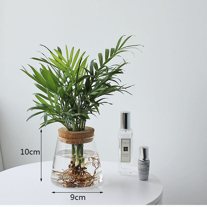 Nordic Transparent Glass Wooden Flower Vase - Image 3