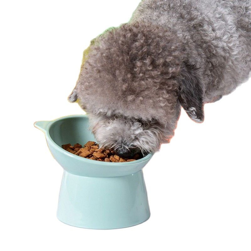 Tilted High Pet Food Water Bowl