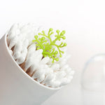 Creative Mini Decorative Toothpick Storage Box