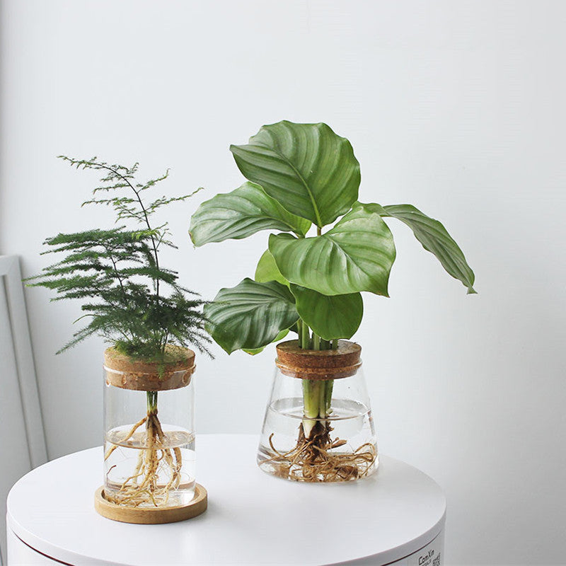 Nordic Transparent Glass Wooden Flower Vase - Image 1