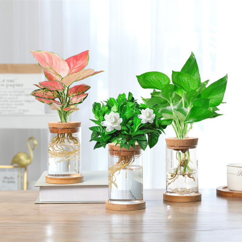 Nordic Transparent Glass Wooden Flower Vase