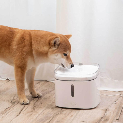 Smart Automatic Pet Water Dispenser - Image 0