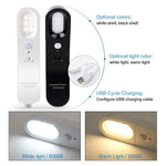 Motion Sensor Rotatable LED Wall Lamp