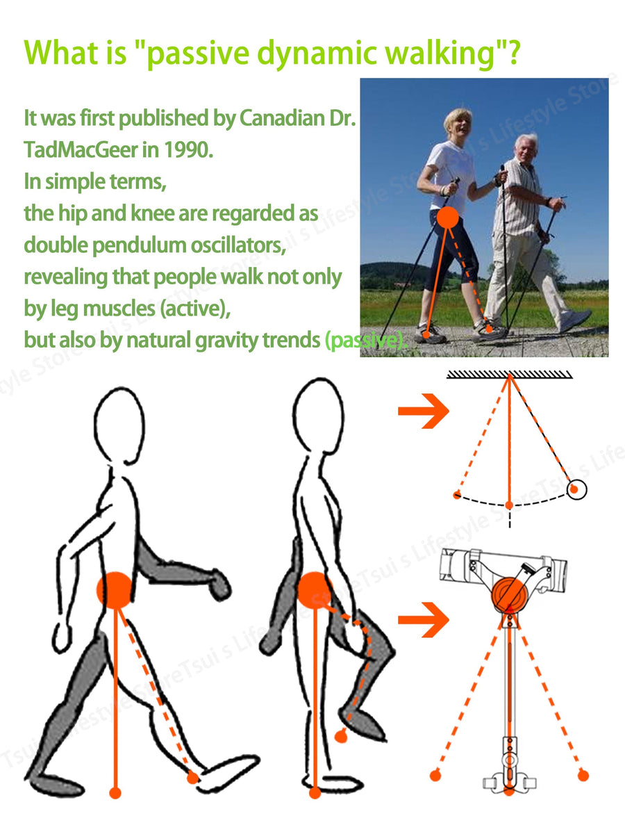 Elderly Walking Support Tool - Image 6