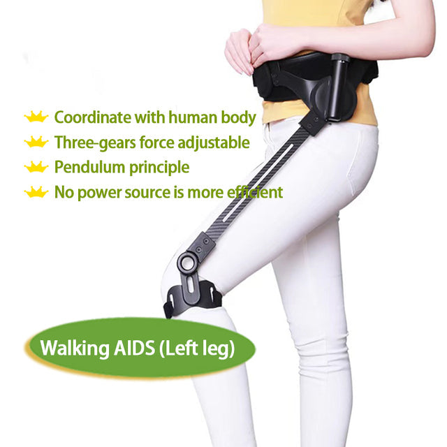 Elderly Walking Support Tool