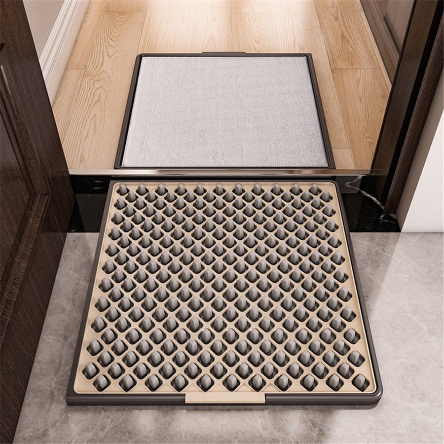 Disinfecting Dust Removal Floor Door Mat - Image 1