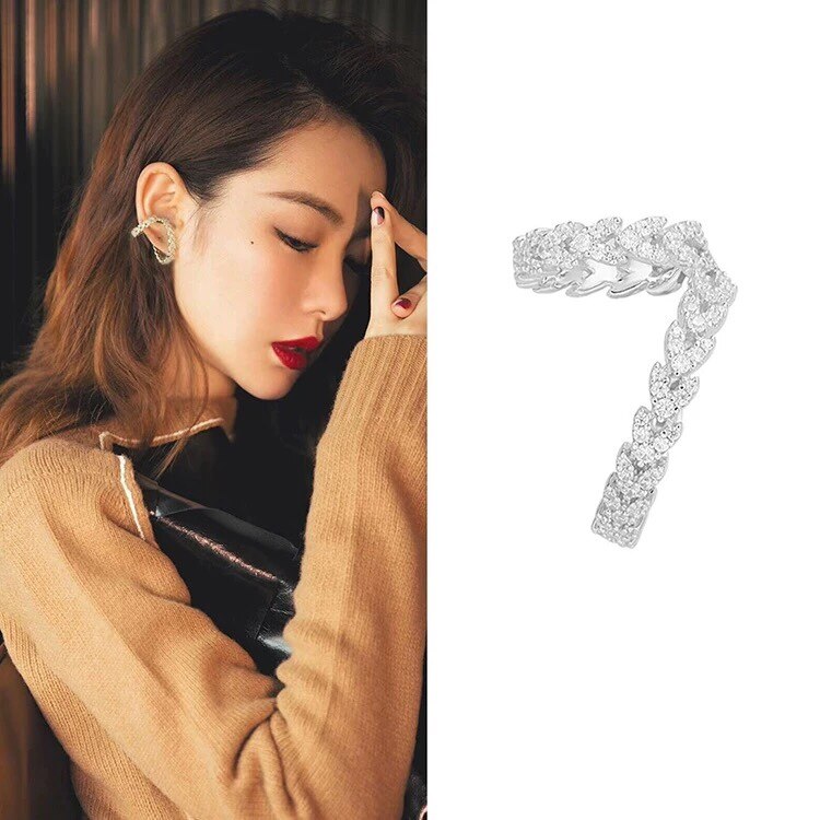 Elegant Zircon Crystal Clip-On Earrings - Image 1
