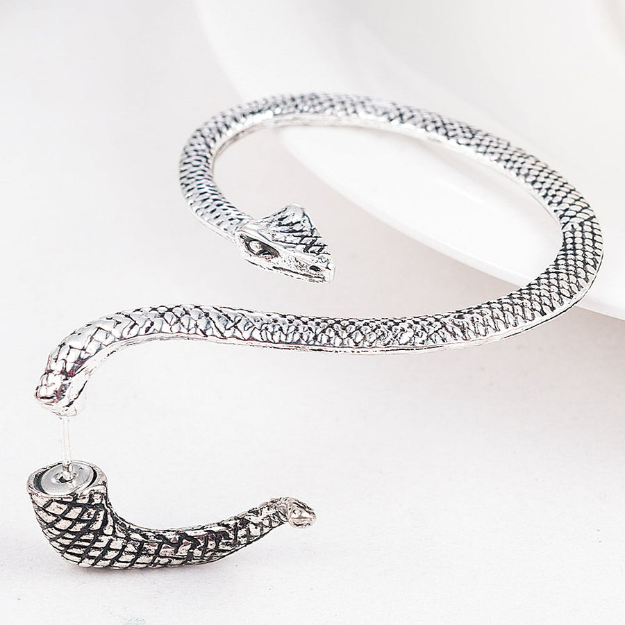 Twining Snake Punk Style  Earrings - Image 2