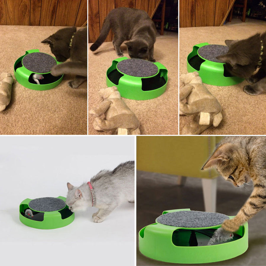 Pet Interactive Mouse Turntable Toy - Image 4