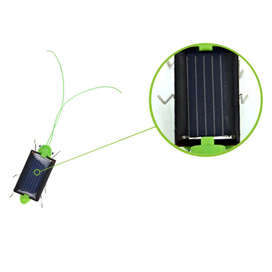 Solar Powered Grasshopper - Image 2
