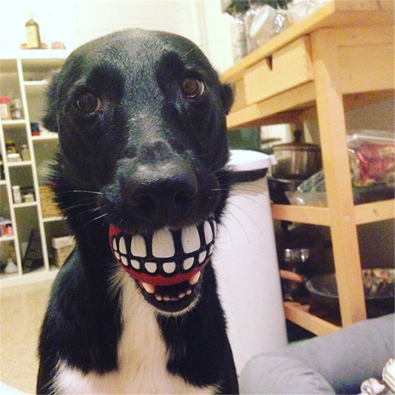 Funny Smile Rubber Pet Chew Toys - Image 5