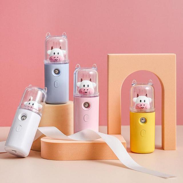 USB Cartoon Animal Rechargeable Mini Face Steamer