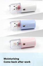 USB Cartoon Animal Rechargeable Mini Face Steamer