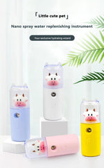 USB Cartoon Animal Rechargeable Mini Face Steamer