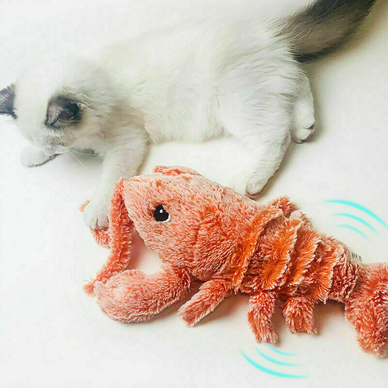 Cat Floppy Interactive Lobster Plush Toy - Image 5
