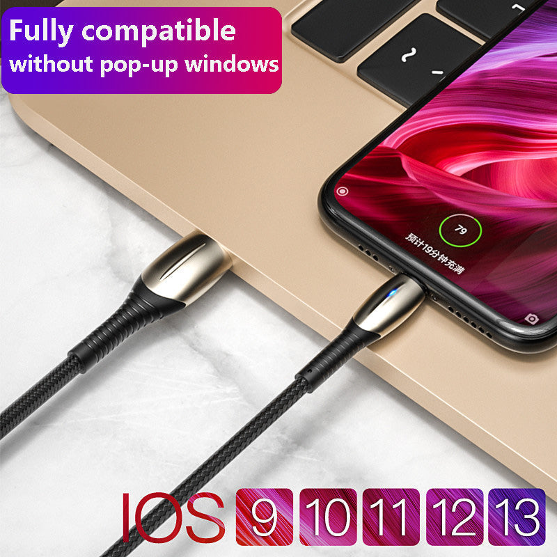 Iphone Fast Charger - Image 4