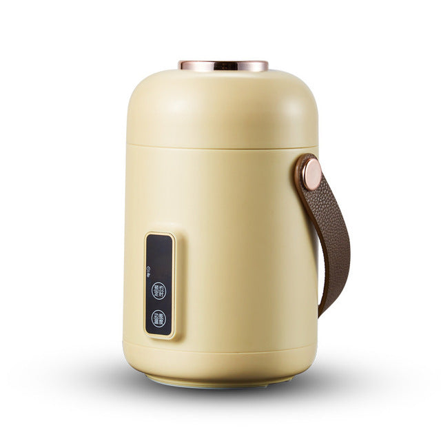 Portable Electric Multicooker Kettle