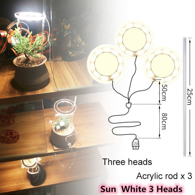 5V Phytolamp LED Plant Light - Image 13