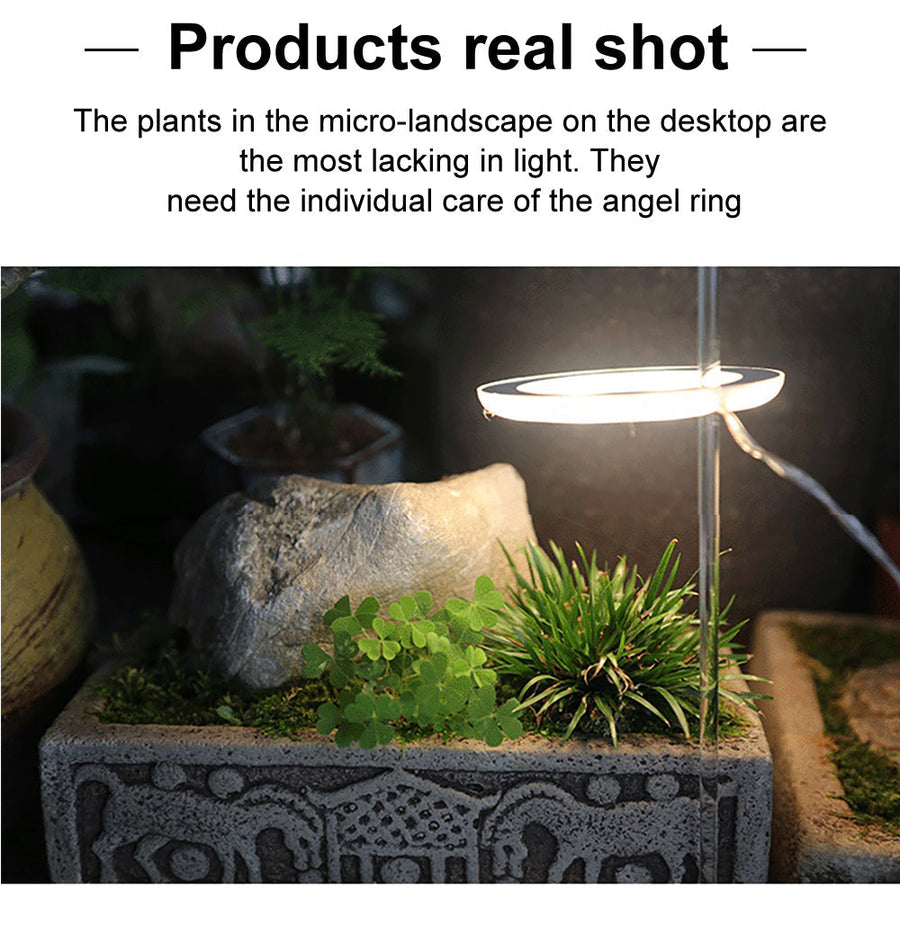 5V Phytolamp LED Plant Light - Image 5