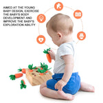 Carrot Picking Wooden Kids Educational Game Toy