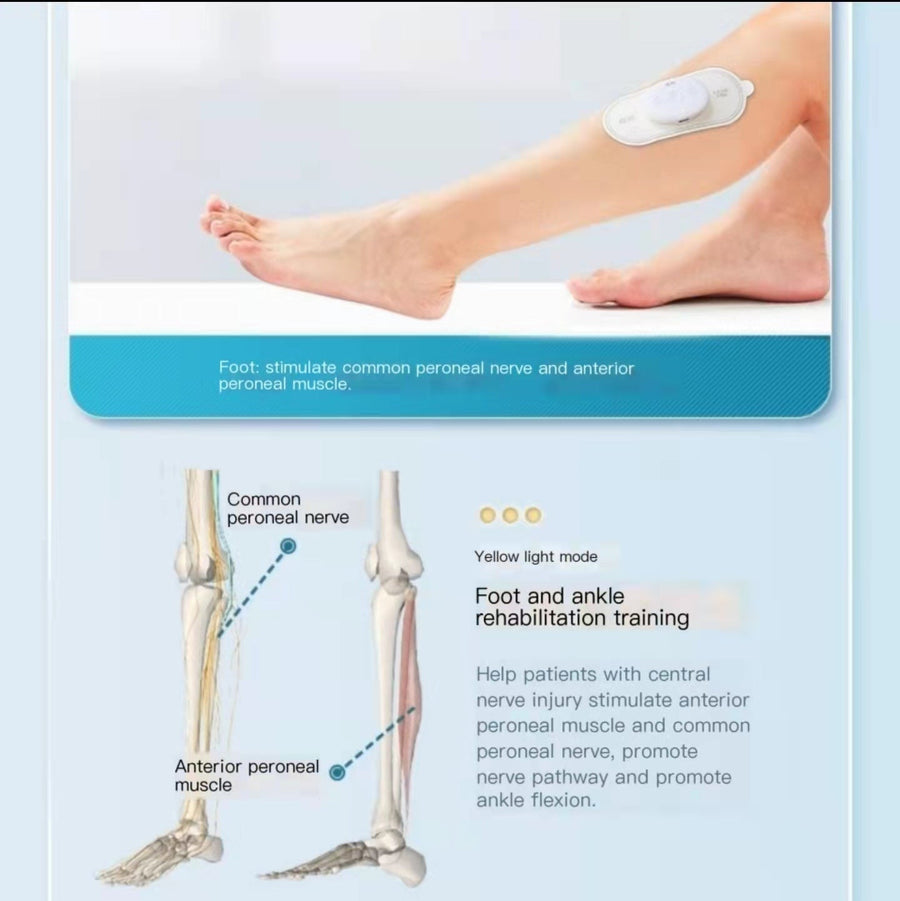 Low-Frequency Vibration Muscle Massager - Image 3