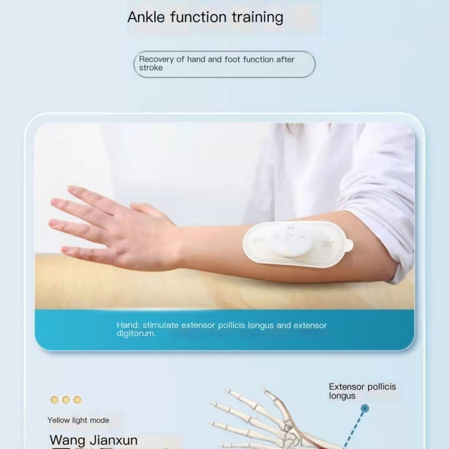Low-Frequency Vibration Muscle Massager - Image 2