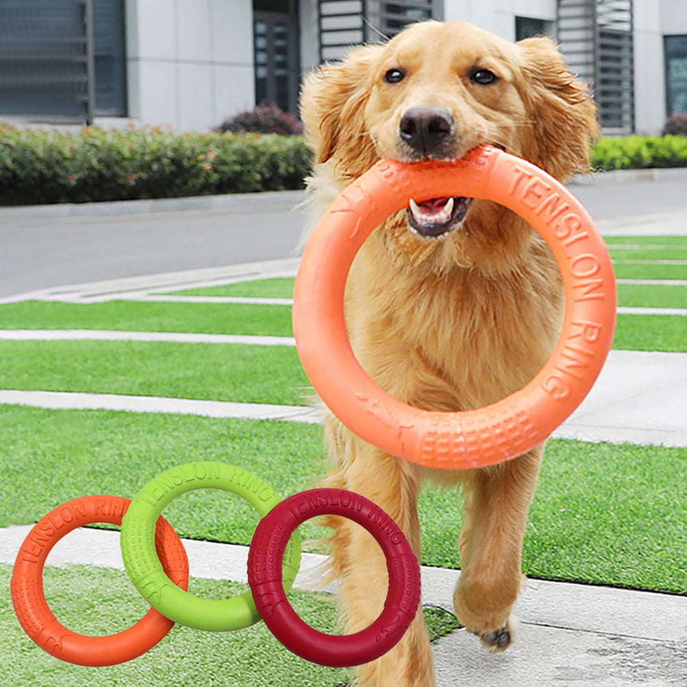 Pet Flying Disc Interactive Toys