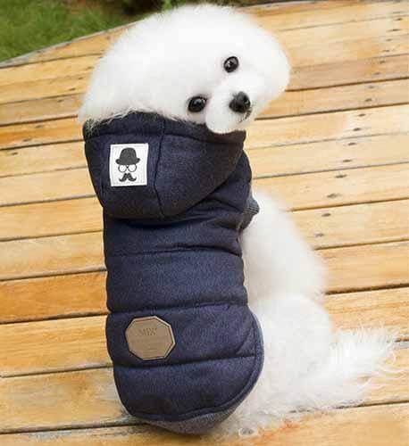 Cute Winter Pet Coat for Cat and Dogs - Image 2