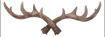 Antlers Decorated Coat Hook - Image 3