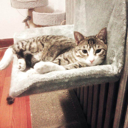 Cat Cradle Radiator Hammock Bed - Image 0